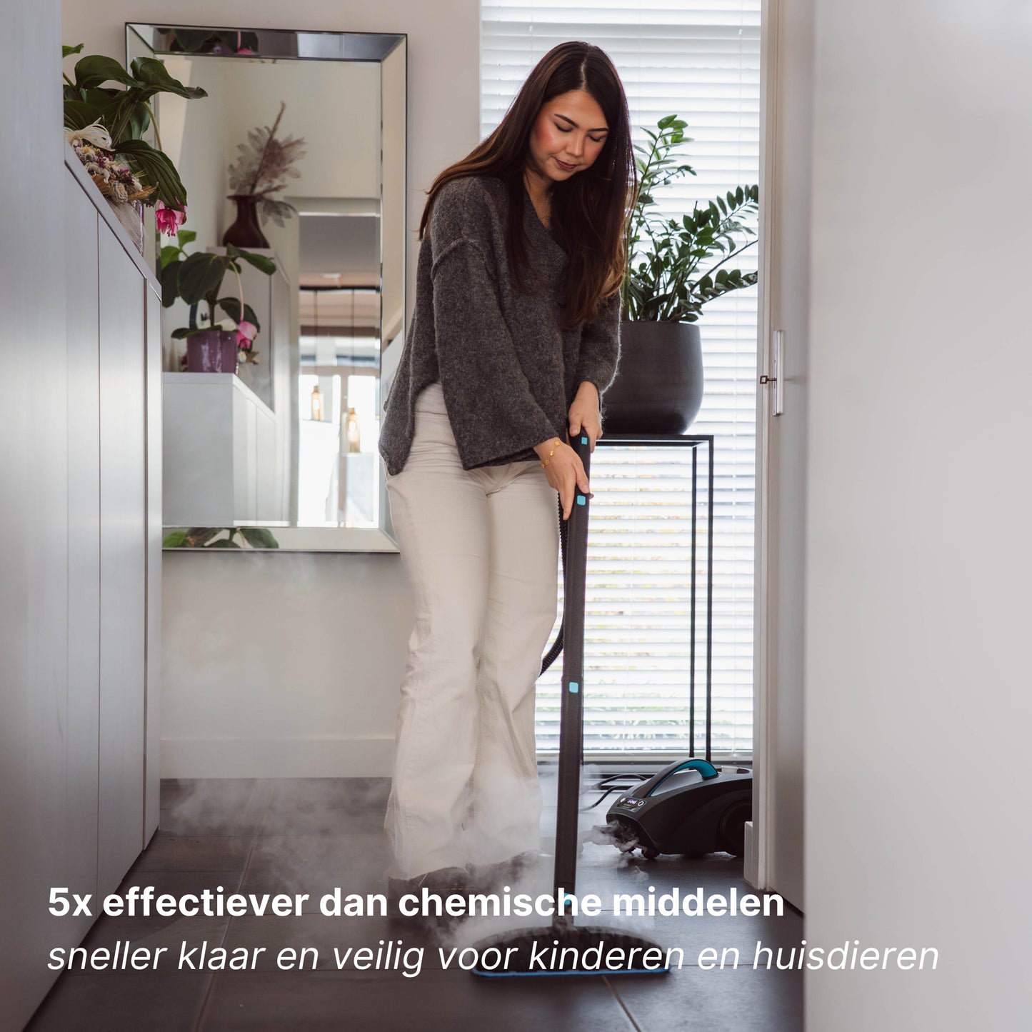 NIEUW: Stoomreiniger Steammaster Pro