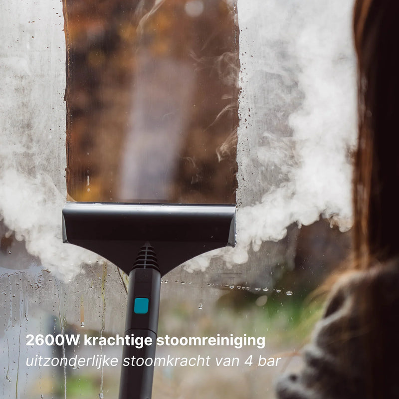 Stoomreiniger SteamMaster Cube