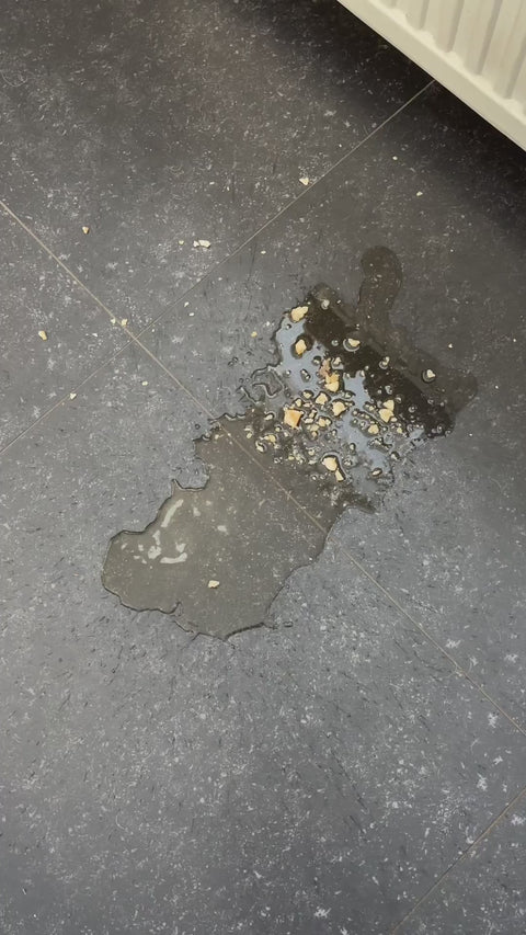 Ideaal na het eten